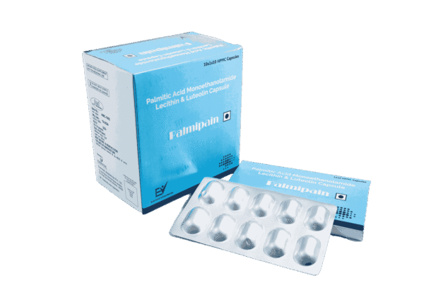 Palmipain